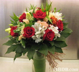 富林花園 您一站式花卉服務(wù)專家